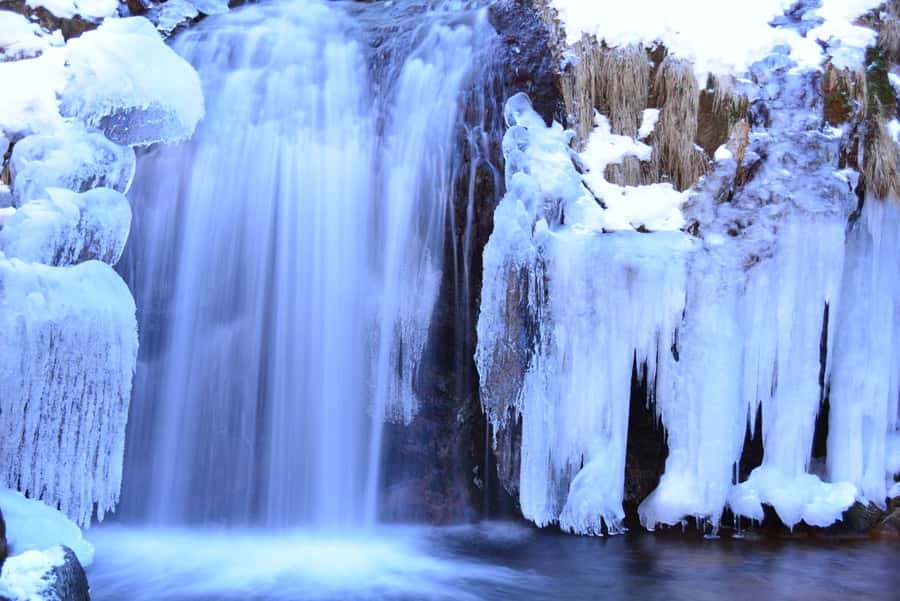Tokyo: Nikko Day Tour Shrines, Lake Chūzenji & Kegon Falls - The $500 group price: who gets good value