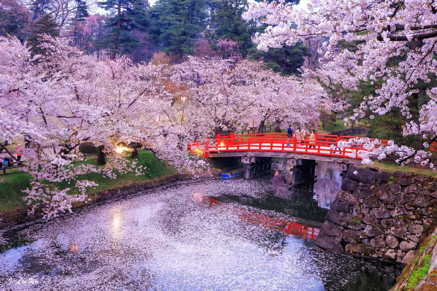Tokyo: Nikko Day Tour Shrines, Lake Chūzenji & Kegon Falls - Why Nikko works as a day trip from Tokyo