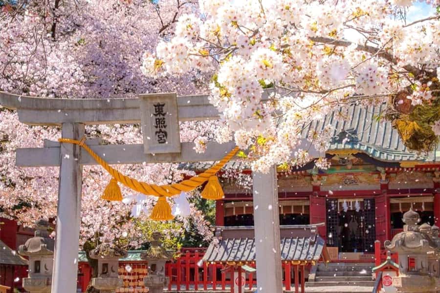 Tokyo: Nikko Day Tour Shrines, Lake Chūzenji & Kegon Falls - Toshogu Shrine gives the day its cultural center