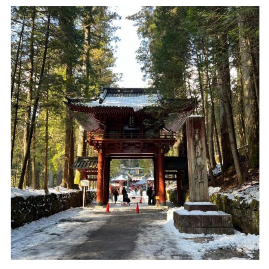 Tokyo: Nikko Day Tour Shrines, Lake Chūzenji & Kegon Falls - Futarasan Shrine and Narabi Jizo slow the pace