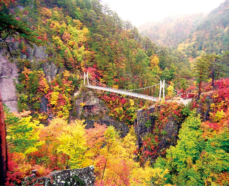 Tokyo: Nikko Day Tour with English Driver and Flexible … - Akechidaira brings another mountain viewpoint