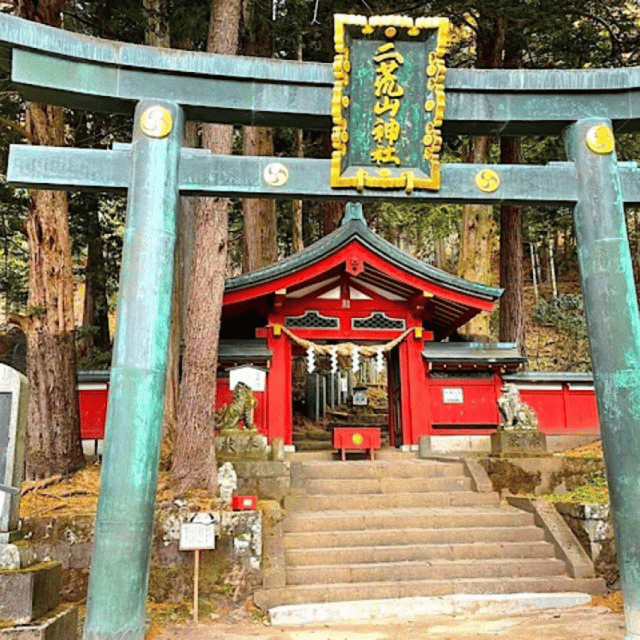 Tokyo → Nikko:Private Customizable Day Trip (English Driver) - Key points to know before booking