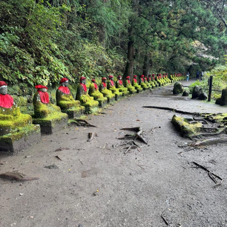 Tokyo → Nikko:Private Customizable Day Trip (English Driver) - Is $388 good value for your group?