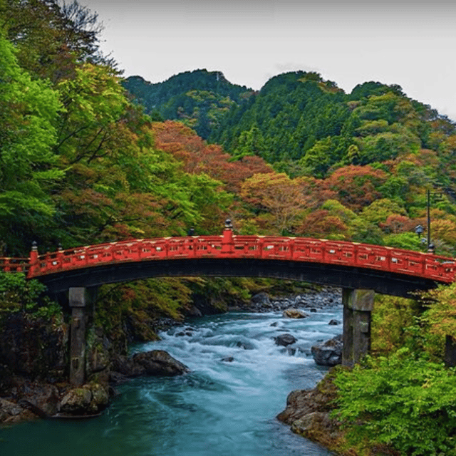 Tokyo → Nikko:Private Customizable Day Trip (English Driver) - Kegon Falls and the power of the drop
