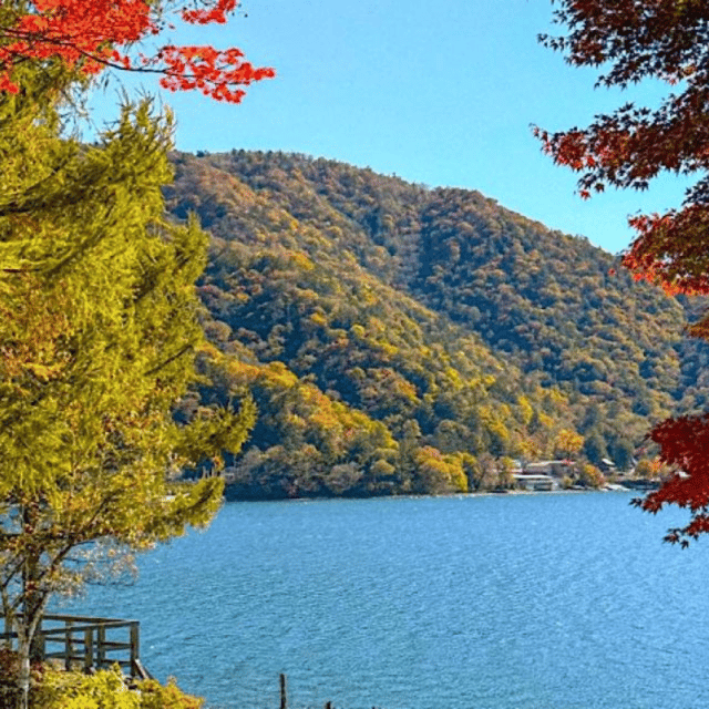 Tokyo → Nikko:Private Customizable Day Trip (English Driver) - Nikkō National Park and the Tochigi countryside