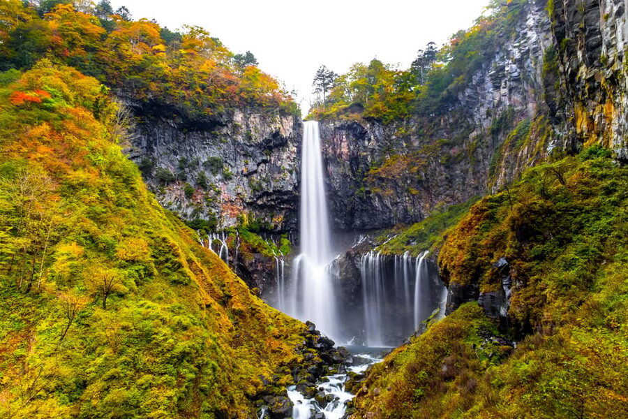 Tokyo: Nikko Toshogu Shrine and Kegon Waterfall Tour - Key points to know before booking