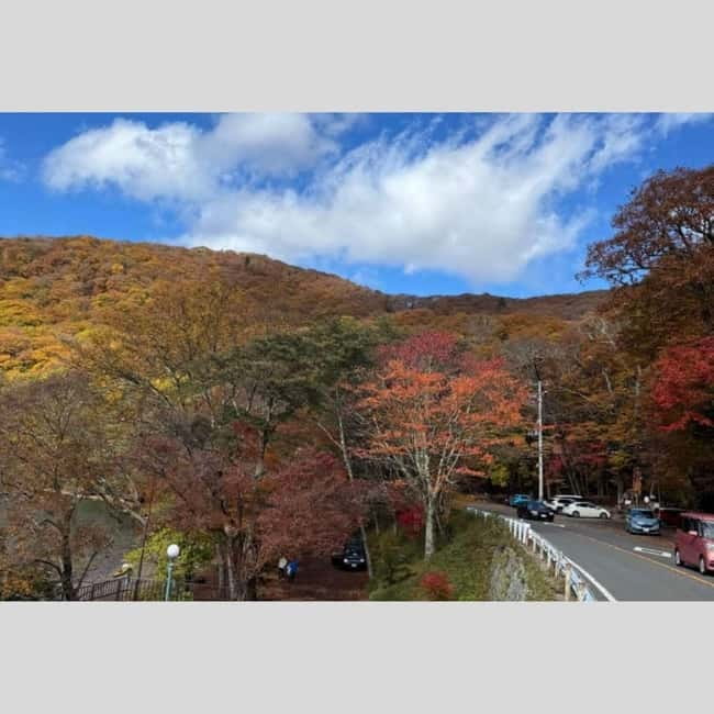 Tokyo: Nikko World Heritage Private Day Trip Hotel Pick-up - Why a private Nikko day works from Tokyo