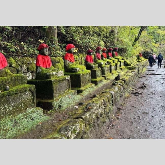 Tokyo: Nikko World Heritage Private Day Trip Hotel Pick-up - Toshogu Shrine and the world of Tokugawa Ieyasu