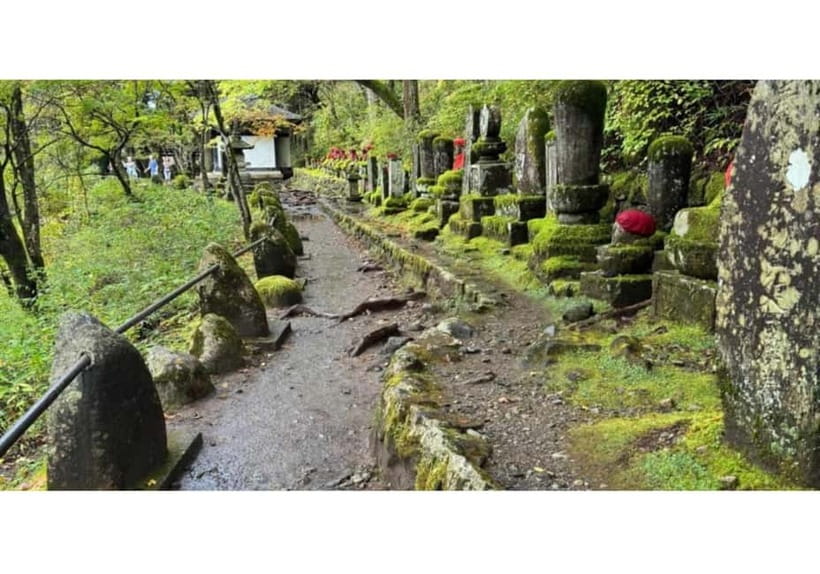 Tokyo: Nikko World Heritage Private Day Trip Hotel Pick-up - Akechidaira, Kegon Falls, and the mountain road