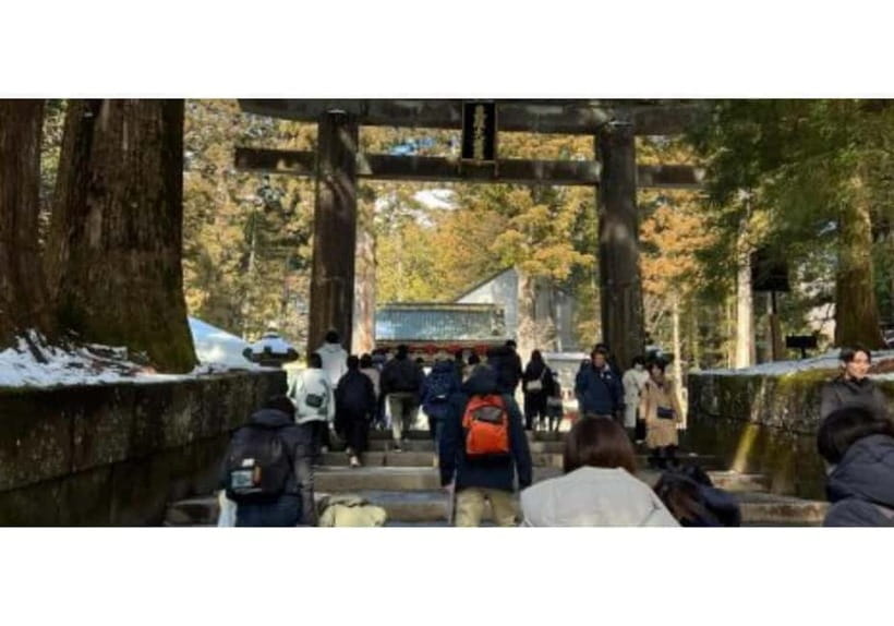 Tokyo: Nikko World Heritage Private Day Trip Hotel Pick-up - Shinkyo Bridge: a graceful first look at Nikko