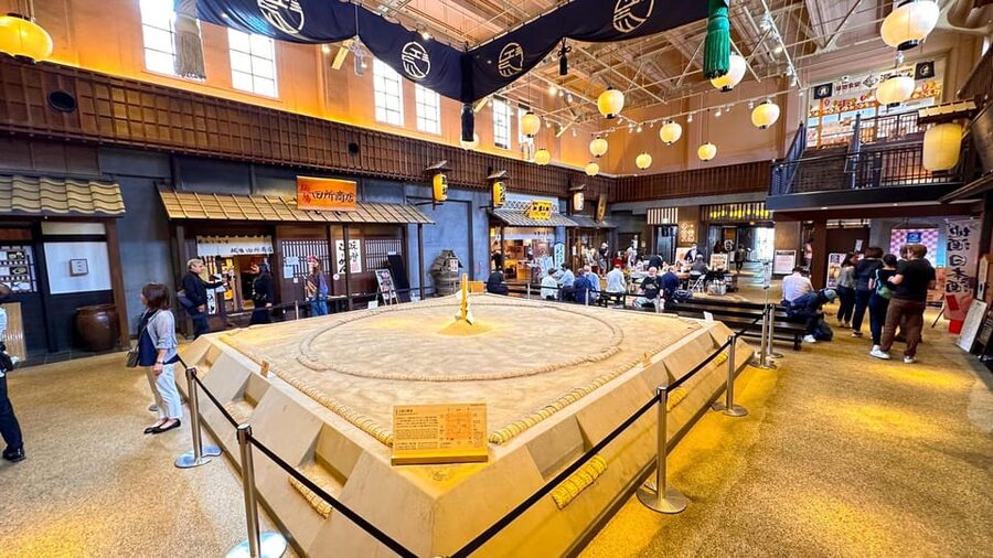 Tokyo: Not a show- a professional sumo practice with experts - Is $103 a Fair Price?