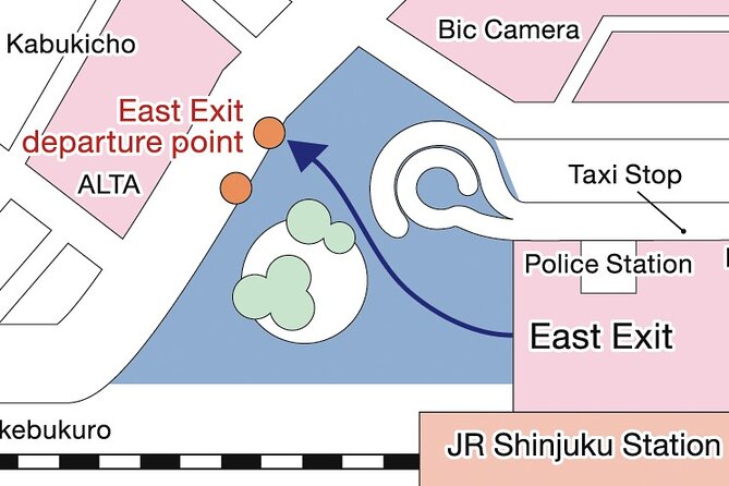 Tokyo Panoramic 1 Day: Meiji Shrine, Asakusa, Odaiba and SKYTREE® - What this Tokyo day tour is really designed to do