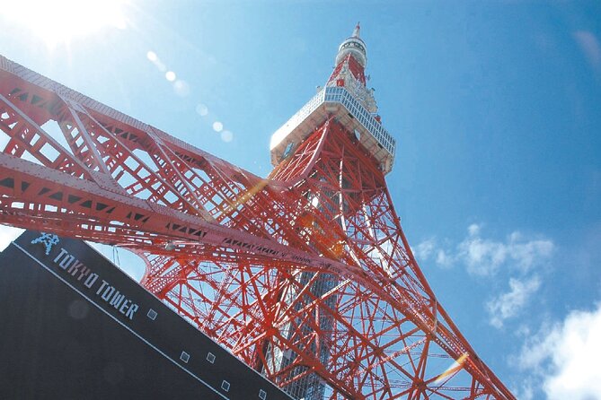 Tokyo Panoramic 1 Day: Meiji Shrine, Asakusa, Odaiba and SKYTREE® - Meiji Shrine: quiet woods in the middle of Tokyo