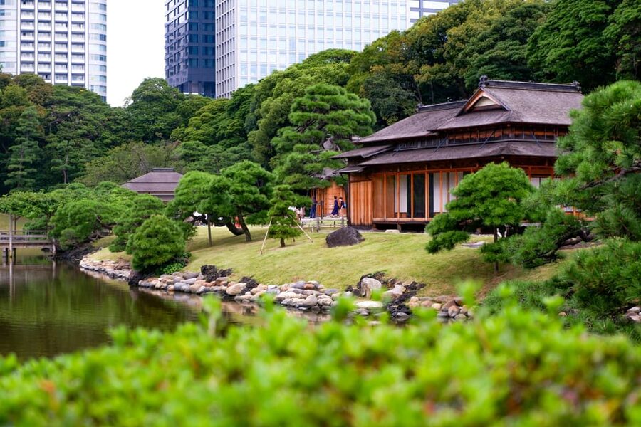 Tokyo: Personalized Private 6-Hour Tour - Key points at a glance