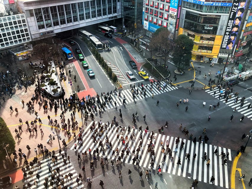 Tokyo: Personalized Private 6-Hour Tour - Skytree, Ginza, Hamarikyu, and Shinjuku