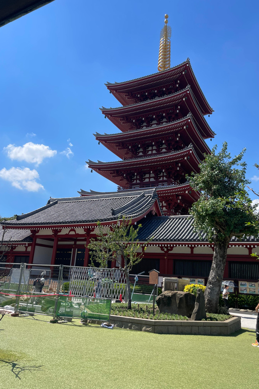 Tokyo: Private City Highlights Tour - Key points at a glance