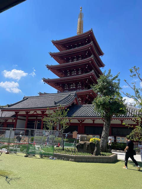 Tokyo: Private City Highlights Tour - Meiji Shrine and the quiet side of Tokyo