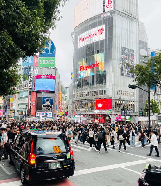 Tokyo: Private City Highlights Tour - The route’s pace, walking, and accessibility