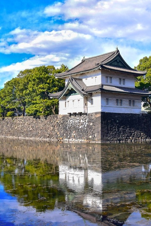 Tokyo: Private City Highlights Tour with Local Guide - Key points to know before booking