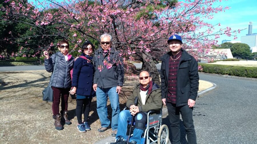 Tokyo: Private City Highlights Tour with Local Guide - Akihabara, Nezu, and quieter alternatives