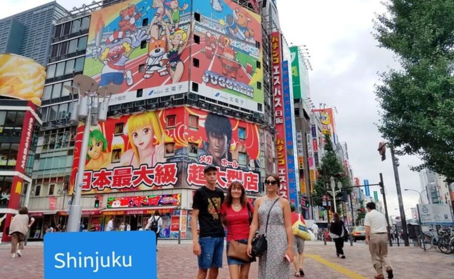 Tokyo: Private Custom Walking Tour with Local Guide - Akihabara, shopping, and special interests