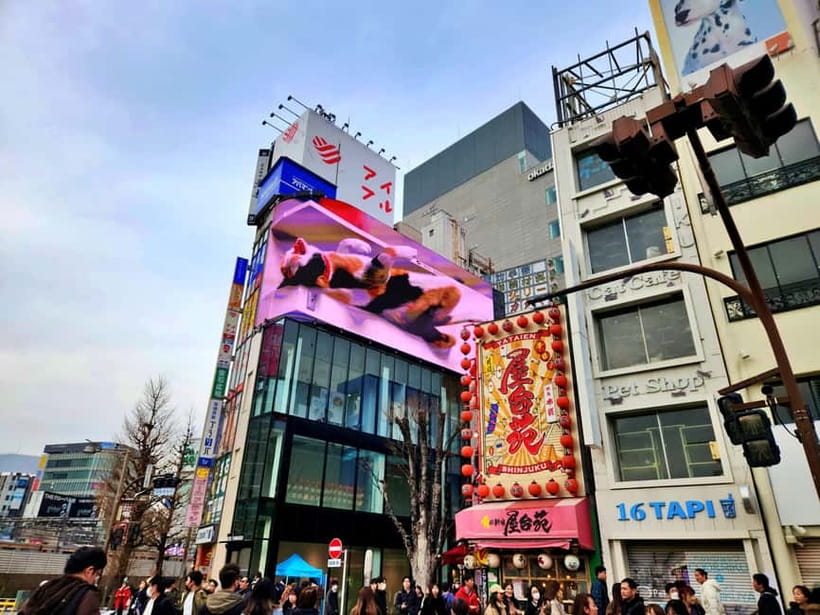 Tokyo: Private & Customizable Tour - All-in-One Experience - Modern Tokyo around Shibuya and beyond