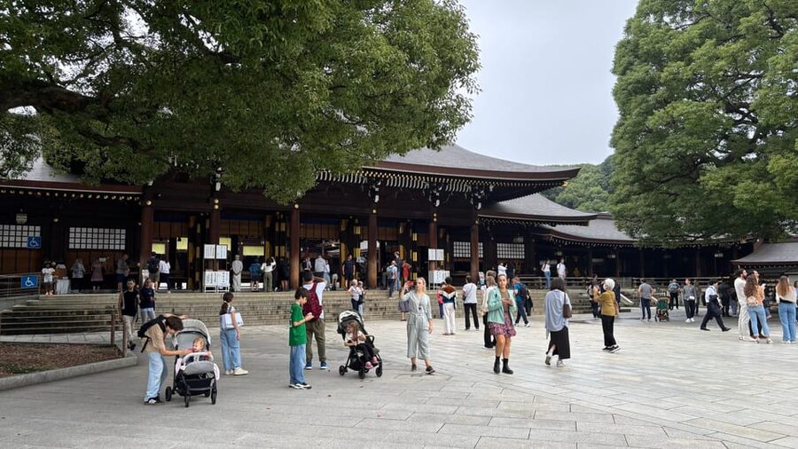 Tokyo: Private Customizable Tour with a Local Guide - A Tokyo day built around your interests