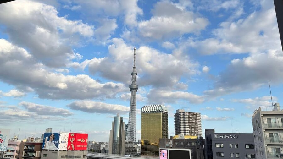 Tokyo: Private Customizable Tour with a Local Guide - Akihabara puts Tokyo’s pop culture on the route