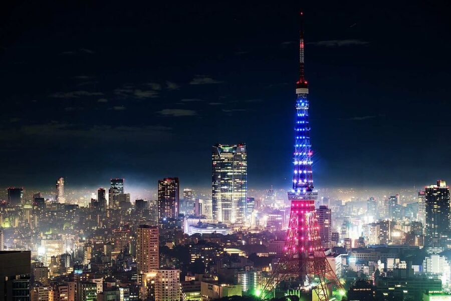 Tokyo: Private Customizable Tour with Transfer - The driver can shape the day, but guide service varies