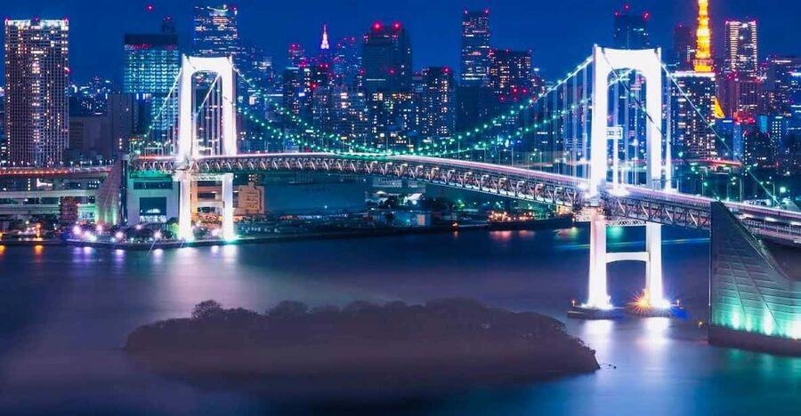 Tokyo Private Day Trip With English Speaking Driver - Why a private van helps in Tokyo