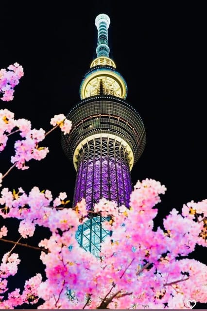 Tokyo Private Day Trip With English Speaking Driver - Rainbow Bridge and Odaiba