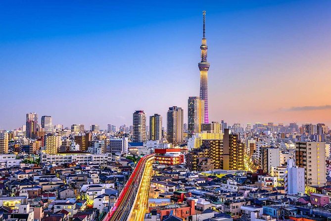 Tokyo Private Full-Day Tour by Car or Van - Why a private car makes sense in Tokyo