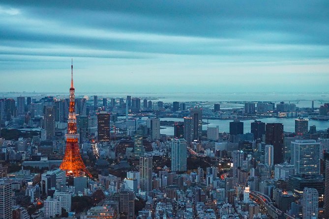 Tokyo Private Full-Day Tour by Car or Van - Imperial Palace East Gardens and Edo Castle remains