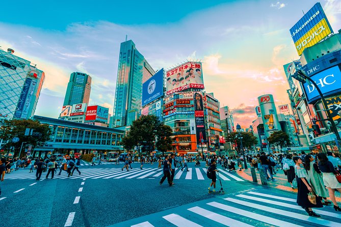 Tokyo Private Full-Day Tour by Car or Van - Tsukiji Outer Market and the question of lunch