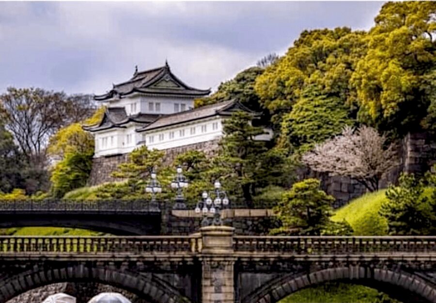 Tokyo: Private Guided Tour with Hotel Pickup and Drop-off - Key points at a glance