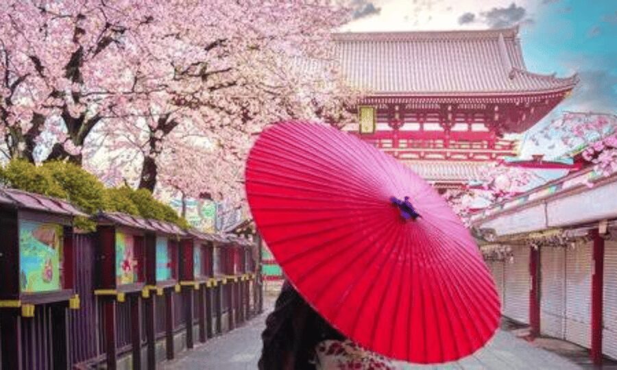 Tokyo: Private Guided Tour with Hotel Pickup and Drop-off - Why a private car can make Tokyo easier