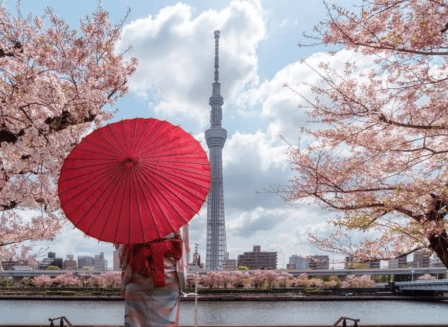 Tokyo: Private Guided Tour with Hotel Pickup and Drop-off - Tokyo Skytree: big views, possible waiting