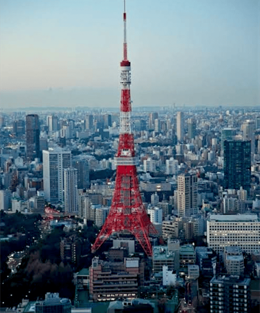 Tokyo: Private Guided Tour with Hotel Pickup and Drop-off - Meiji Shrine and Harajuku: quiet paths beside youth culture