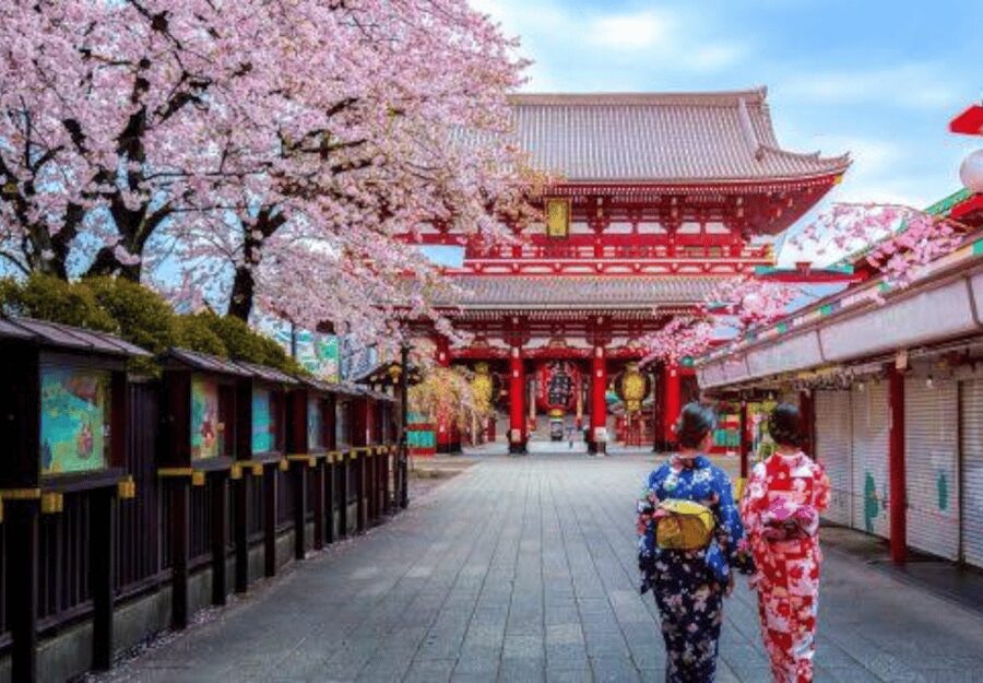 Tokyo: Private Guided Tour with Hotel Pickup and Drop-off - Shibuya and Harajuku: Tokyo at full volume