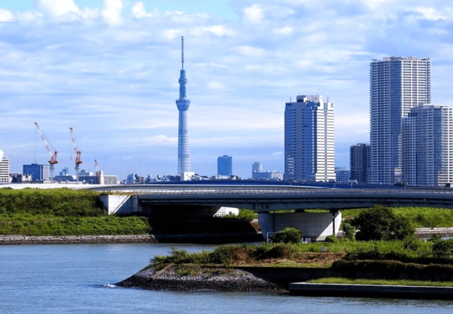 Tokyo: Private Guided Tour with Hotel Pickup and Drop-off - Adding Akihabara, Ginza, or Roppongi