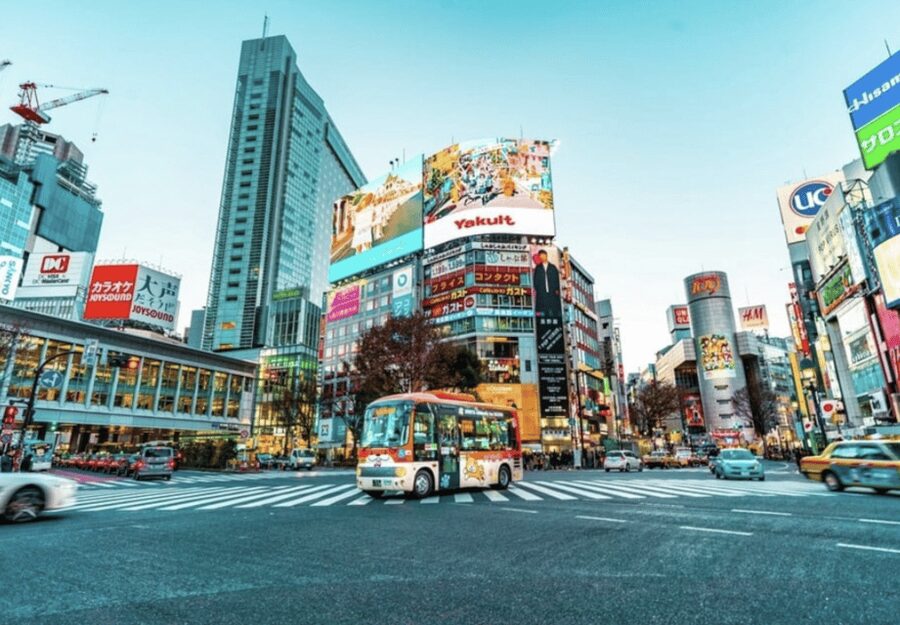 Tokyo: Private Guided Tour with Hotel Pickup and Drop-off - Tsukiji Outer Market: start with Tokyo’s food culture