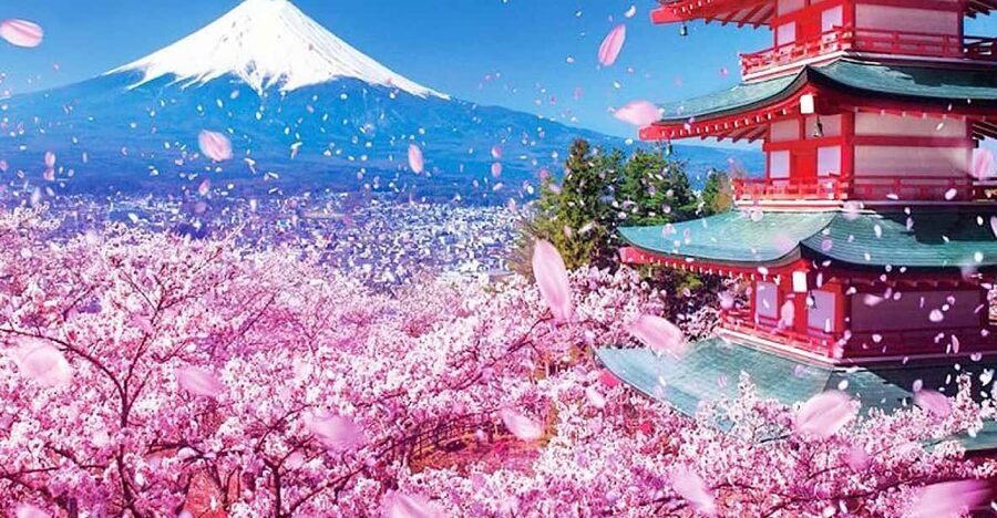 Tokyo: Private Mount Fuji and Hakone Day Trip with Guide - Owakudani Valley brings volcanic scenery