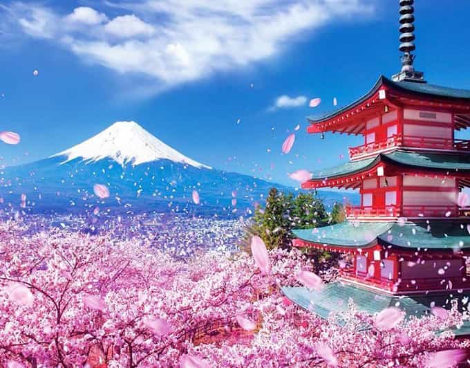 Tokyo: Private Mount Fuji and Hakone Day Trip with Guide - Fuji Sengen Shrine adds a quieter pause