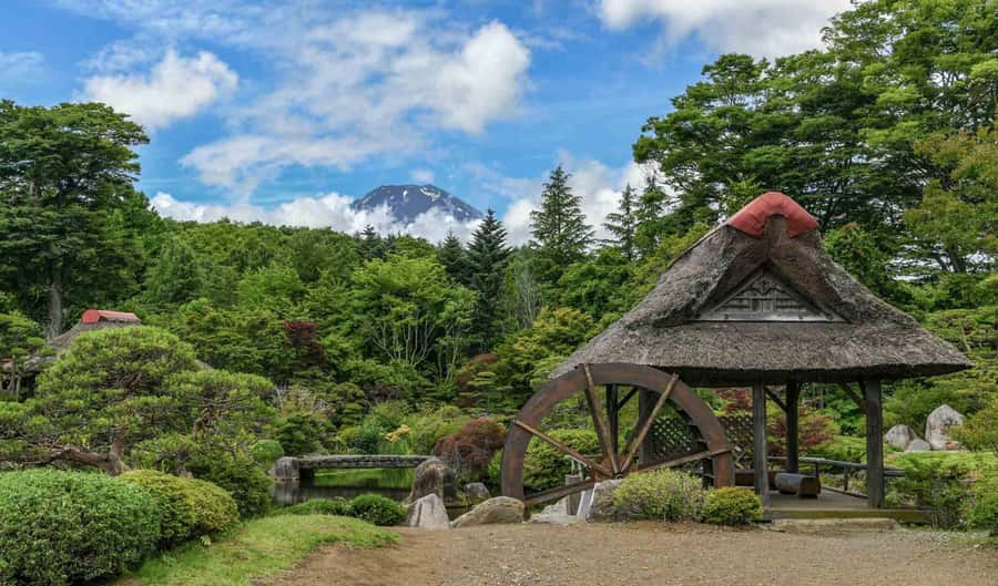 Tokyo: Private Mount Fuji Tour with Pickup and Drop-Off - Arakurayama and other requested viewpoints