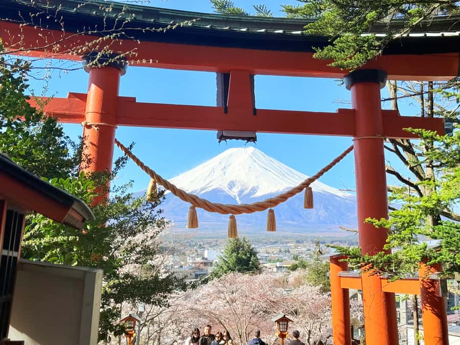Tokyo: Private Mount Fuji Tour with Pickup and Drop-Off - Lake Kawaguchi: the classic Fuji view