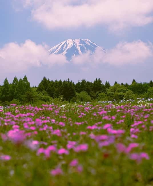 Tokyo: Private Mt. Fuji Luxury Day Tour – Fully Customizable - Key points at a glance