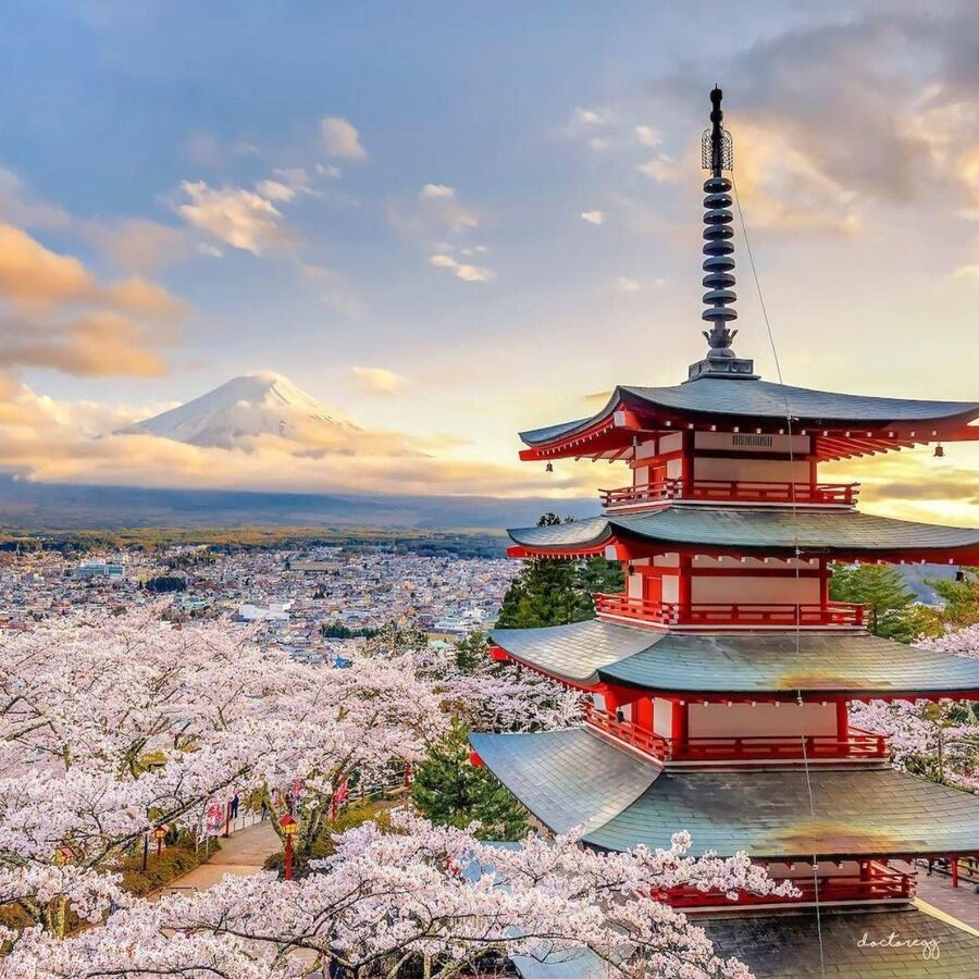 Tokyo: Private Mt. Fuji Luxury Day Tour – Fully Customizable - Food, entry fees, and the true cost