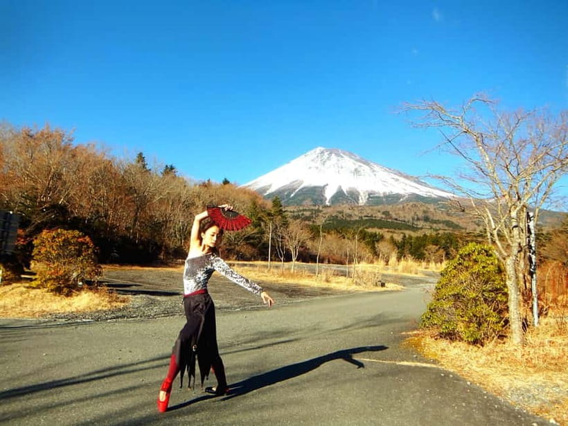 Tokyo: Private Mt. Fuji Luxury Day Tour – Fully Customizable - Why a private Fuji day makes sense