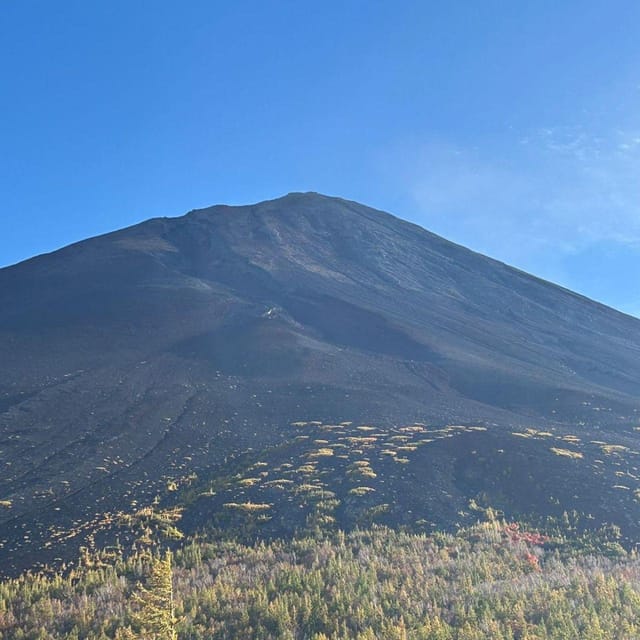 Tokyo: Private Mt. Fuji Luxury Day Tour – Fully Customizable - The optional stops that change the mood