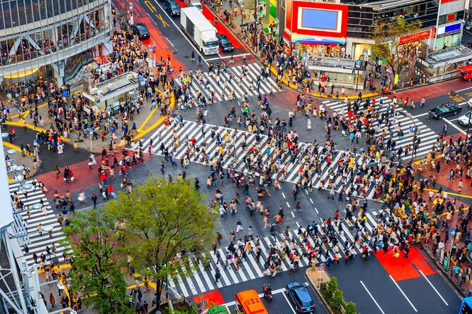 Tokyo Private Sightseeing Tour by Car- English speaking chauffeur - Tokyo Skytree and Tokyo Tower: two very different city views